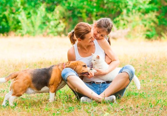 ¿Por qué el amor de nuestras mascotas es tan grande?