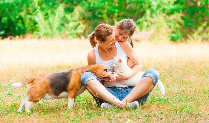 ¿Por qué el amor de nuestras mascotas es tan grande?