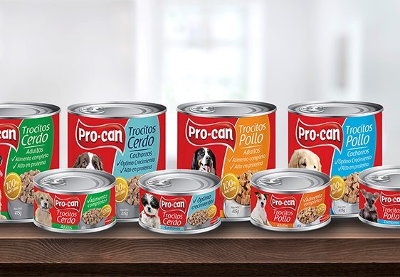 Alimento húmedo: El mejor aliado para cuidar la salud y bienestar de tu mascota