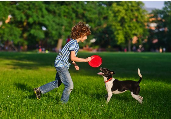 Perros y niños: Cómo fomentar una relación segura y amorosa