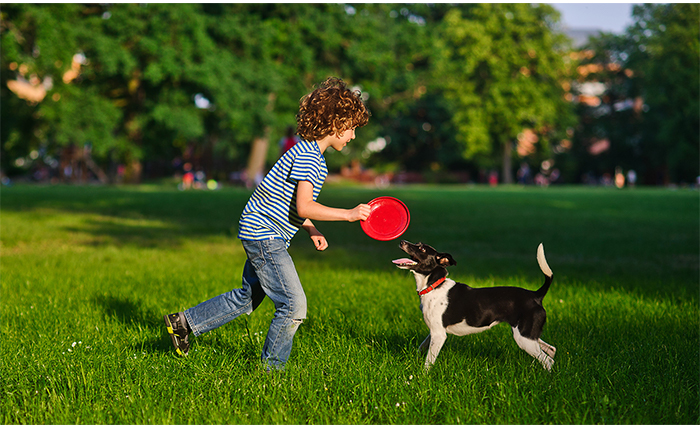 Perros y niños: Cómo fomentar una relación segura y amorosa