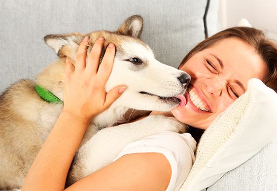Aprovecha el tiempo en casa y cuida a tu perro