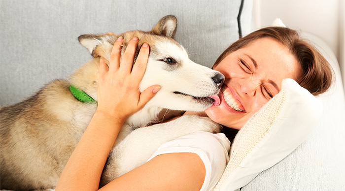 Aprovecha el tiempo en casa y cuida a tu perro