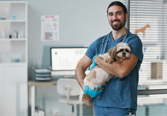 Cómo preparar a tu perro para visitas al veterinario: consejos para una experiencia sin estrés